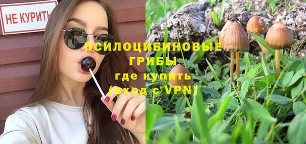 ГАЛЛЮЦИНОГЕННЫЕ ГРИБЫ Абдулино